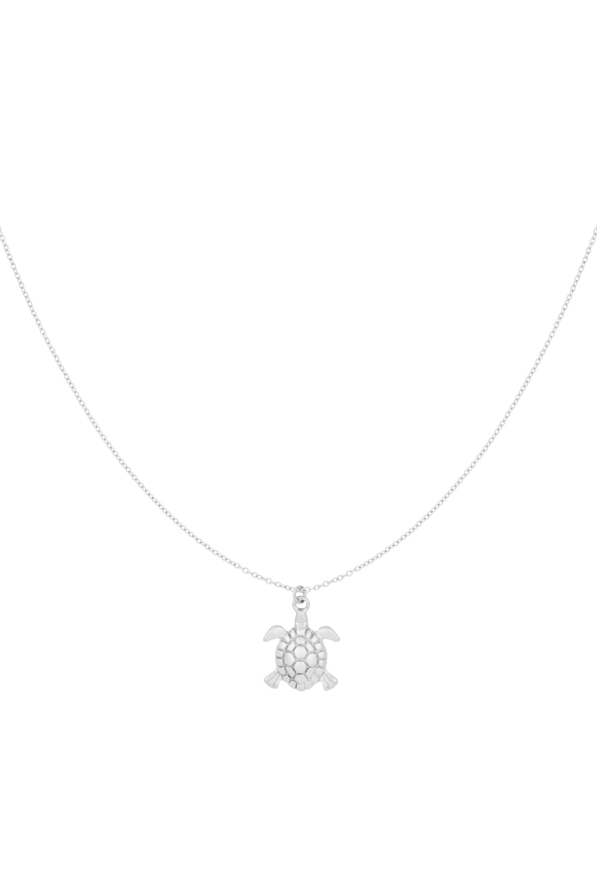 Kleine schildpad ketting
