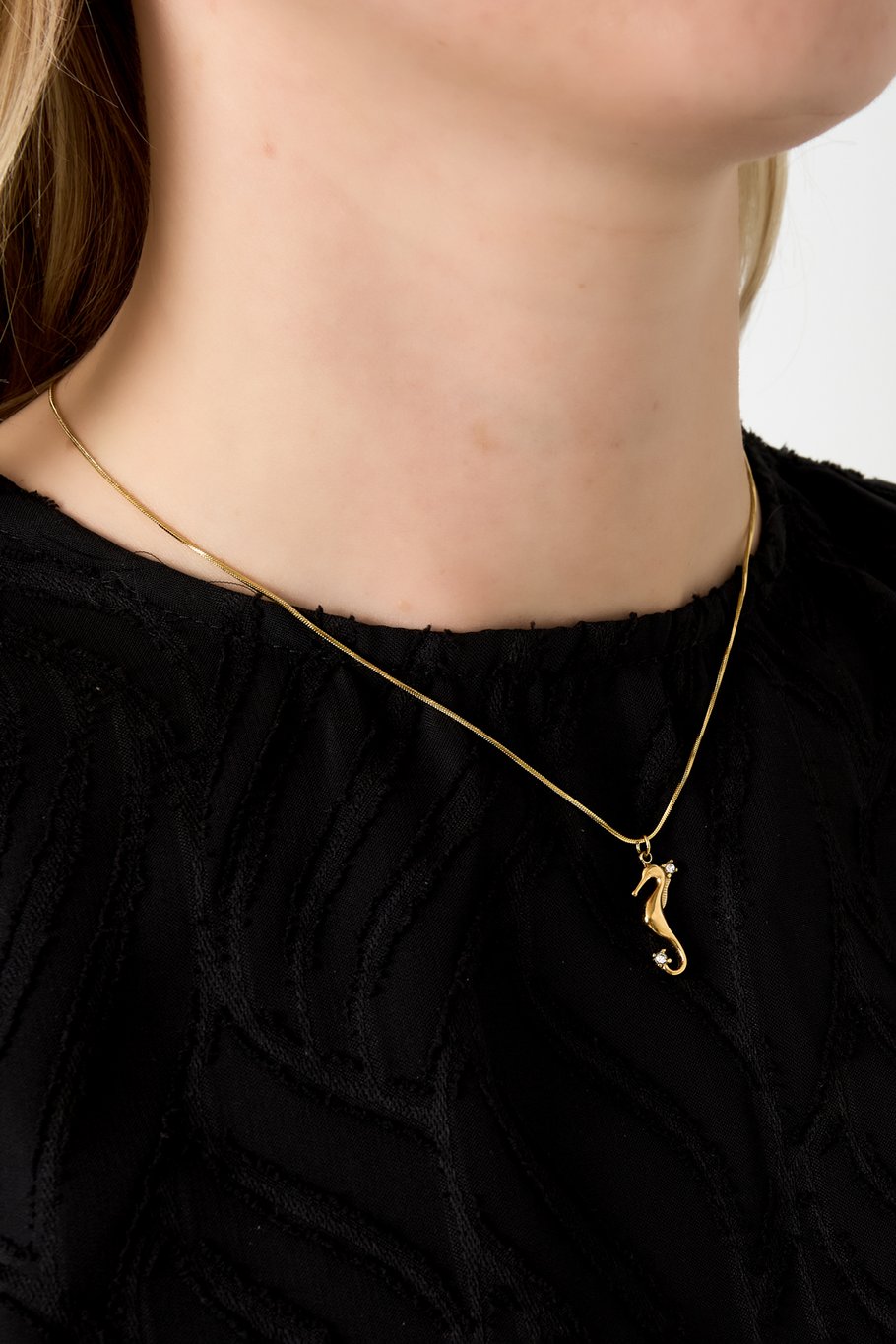 Ketting met zeepaardje