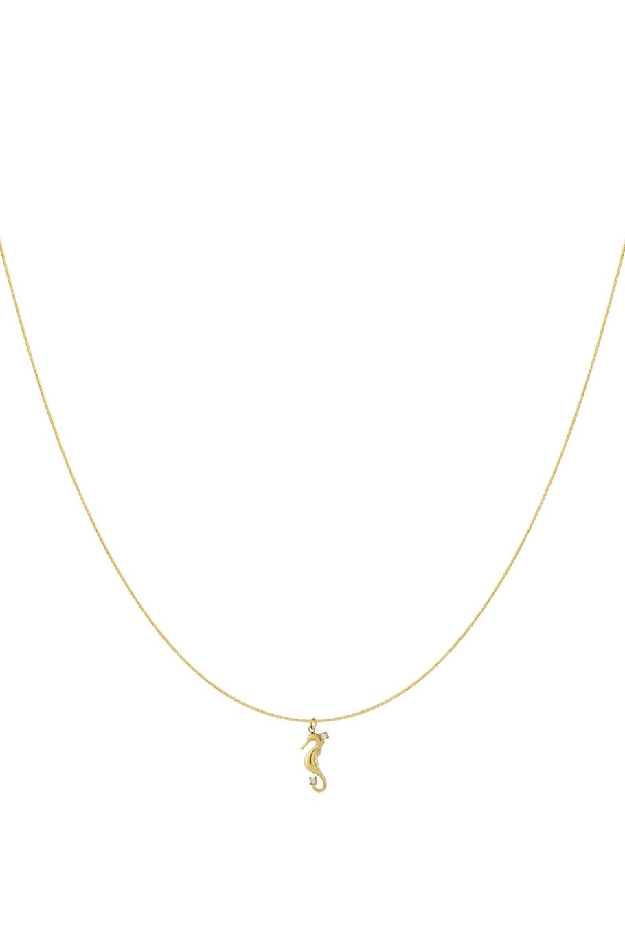Ketting met zeepaardje