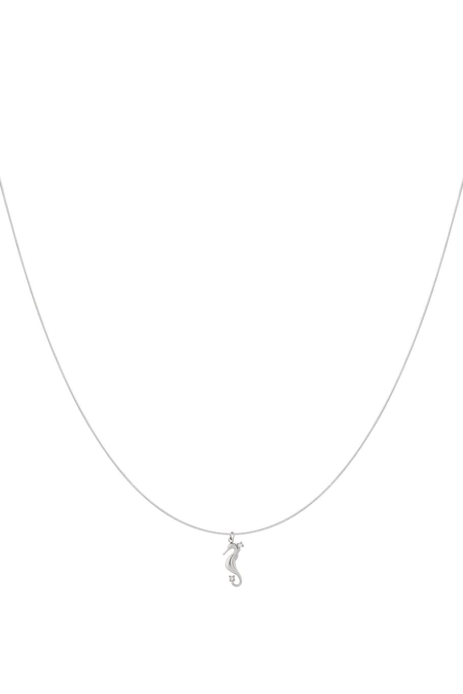 Ketting met zeepaardje
