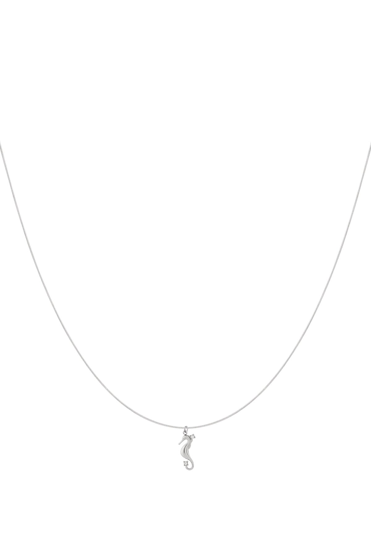 Ketting met zeepaardje
