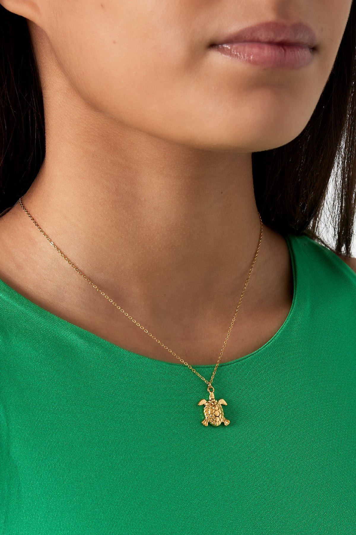 Kleine schildpad ketting