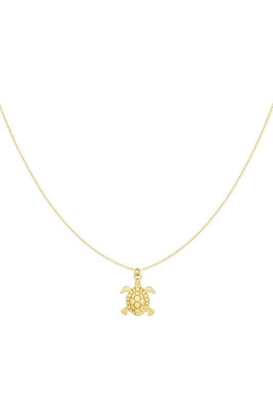 Kleine schildpad ketting