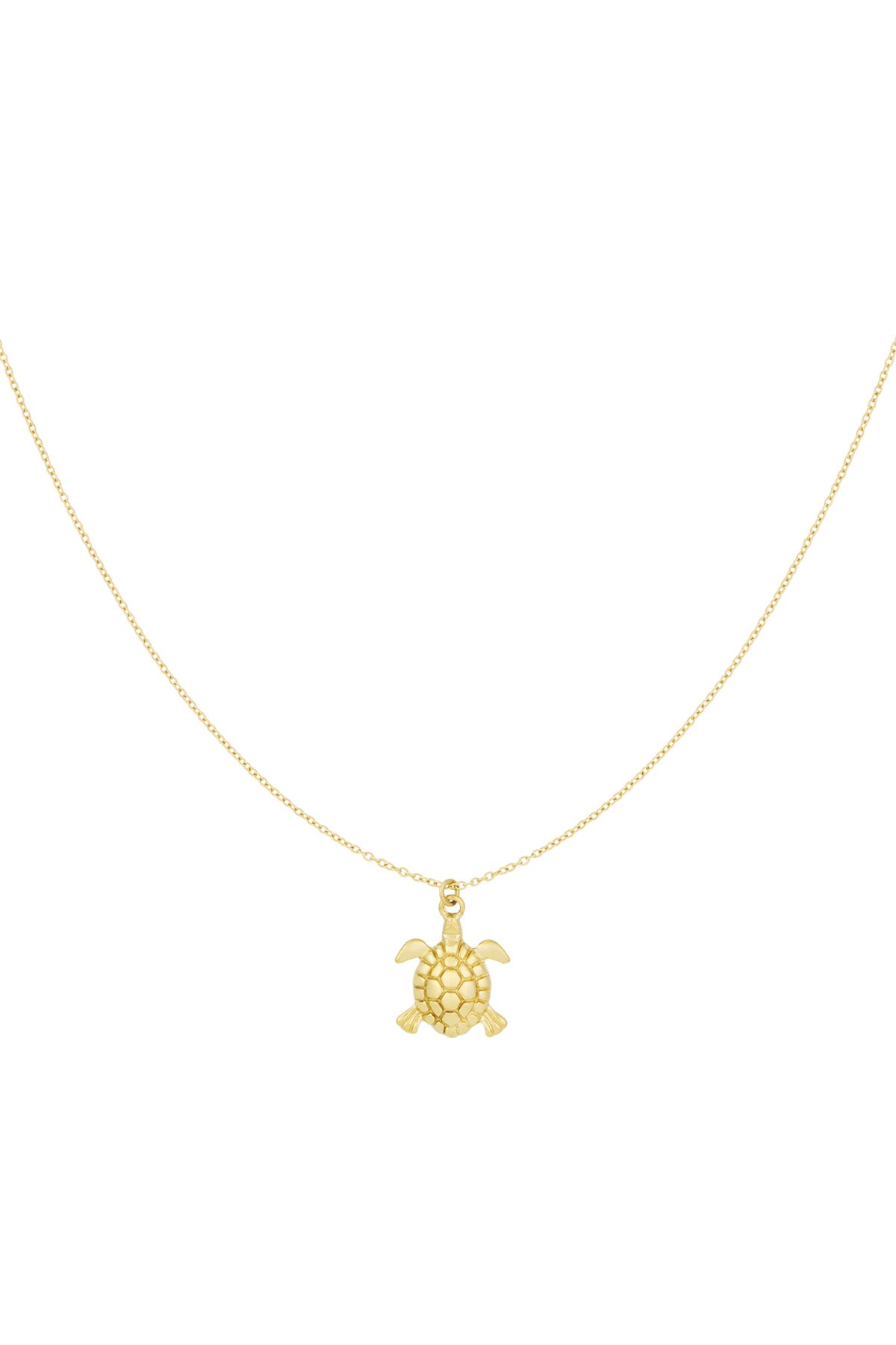 Kleine schildpad ketting