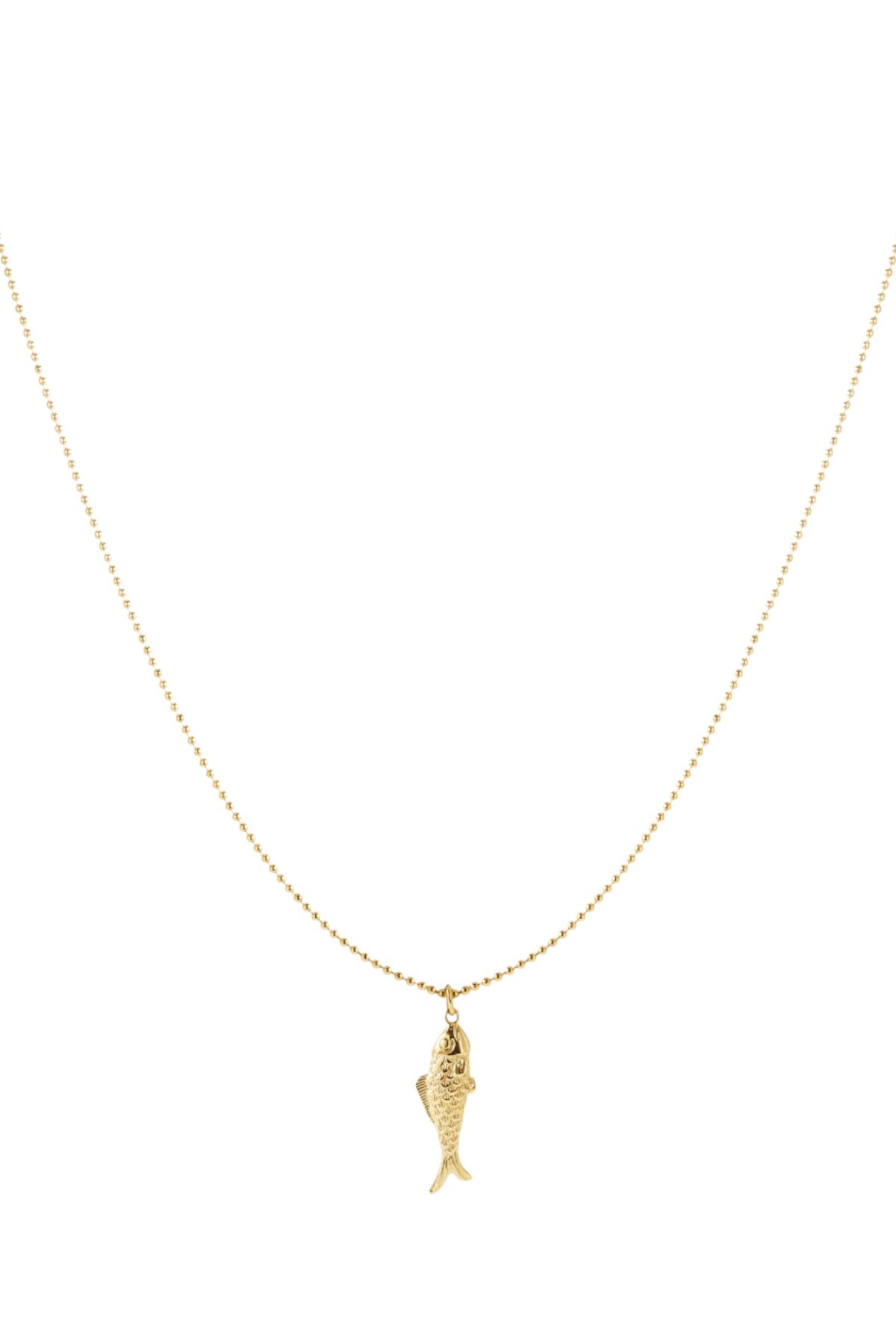 Ketting met vis hangertje