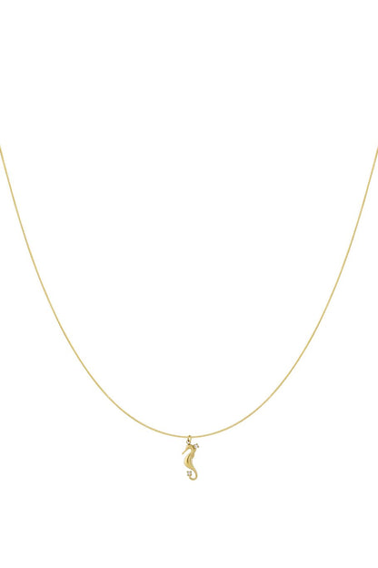 Ketting met zeepaardje