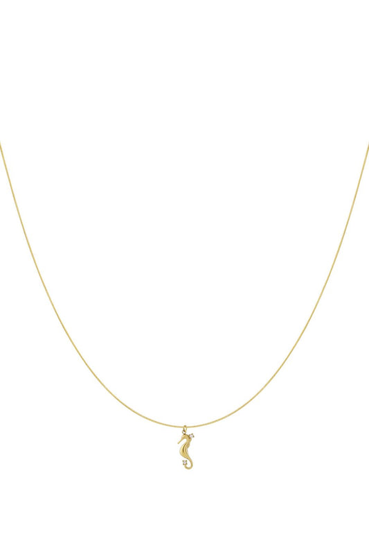 Ketting met zeepaardje
