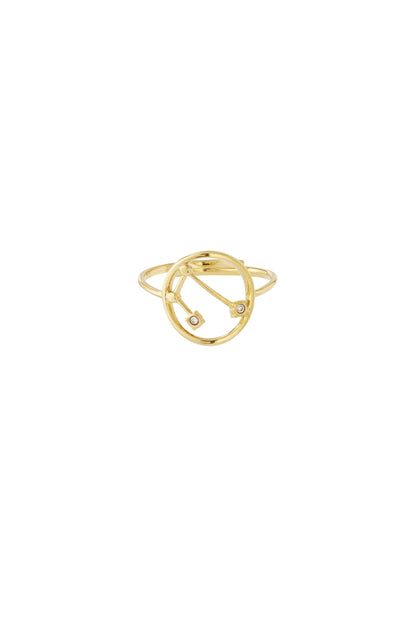 Sterrenbeeld met steen ring