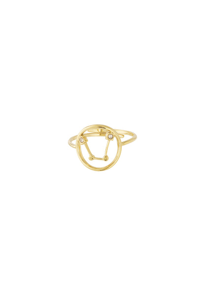 Sterrenbeeld met steen ring