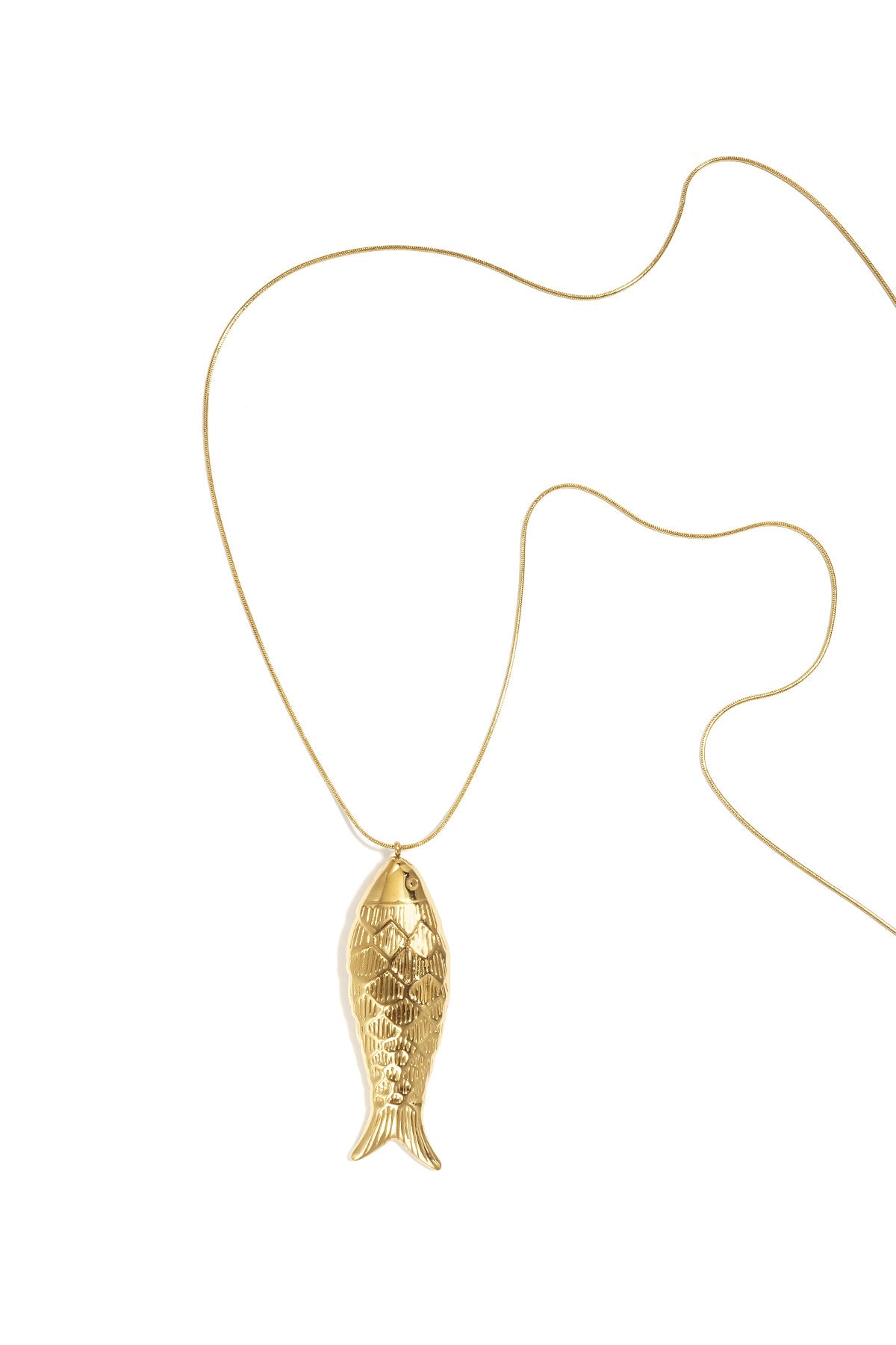 Lange ketting met groot visje
