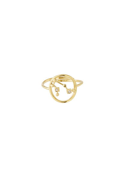 Sterrenbeeld met steen ring