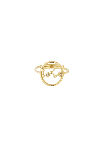 Sterrenbeeld met steen ring